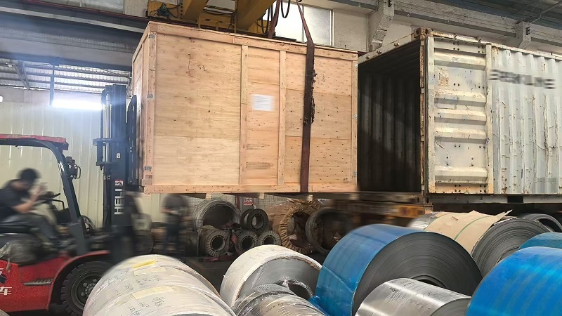 Factory Shipment Update: Forklift Loading et tutus Delivery